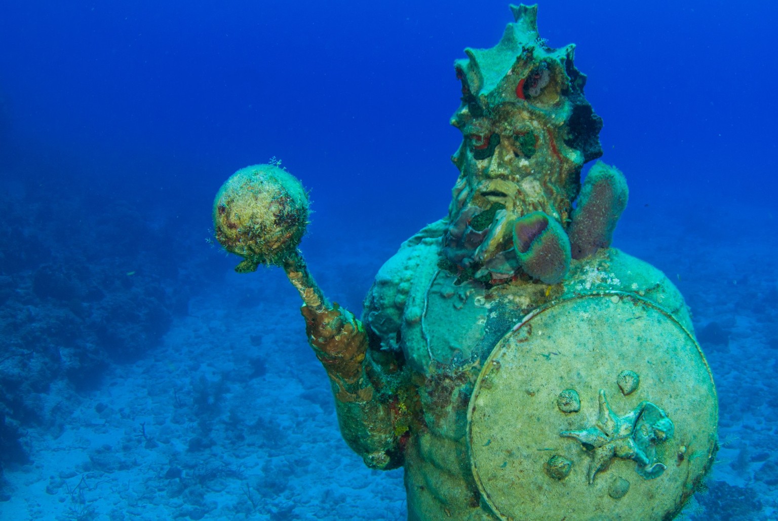 Guardian of the Reef Simon Morris