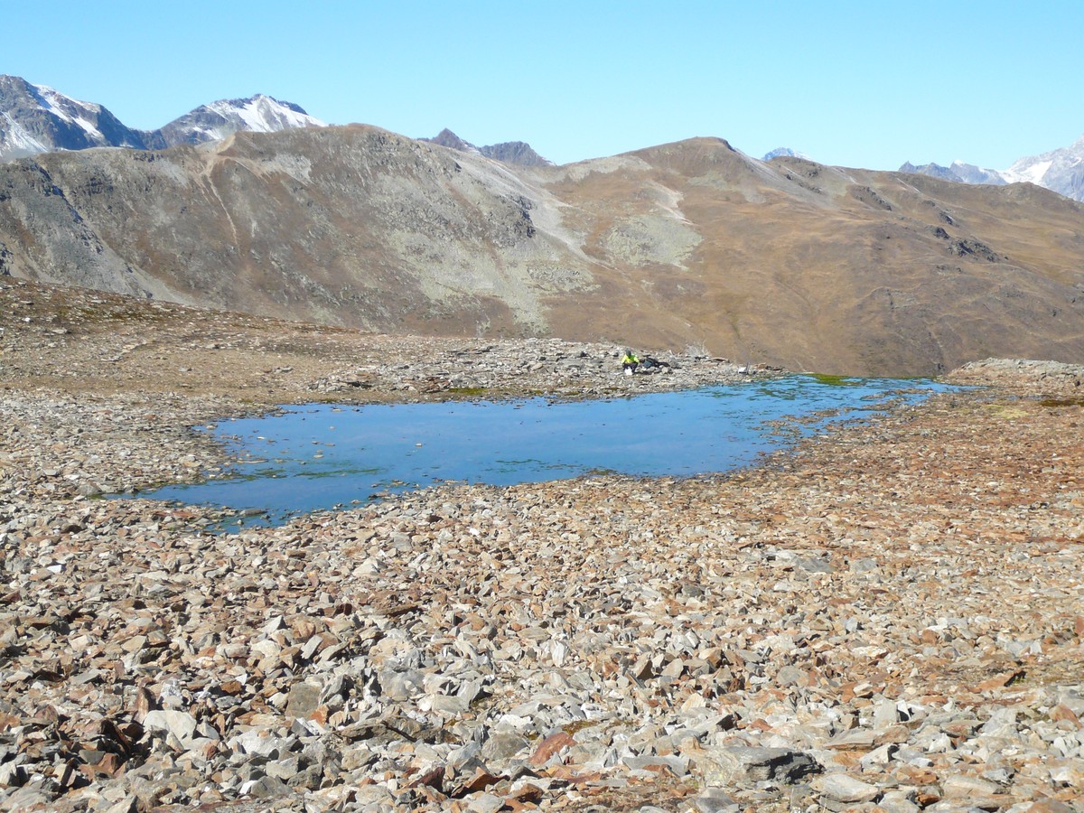 Die Quelle des Bachs liegt im Einzugsgebiet eines kleinen Bergsees in einem südlichen Seitental des Engadins. © Christoph Wanner, Institut für Geologie, Universität Bern