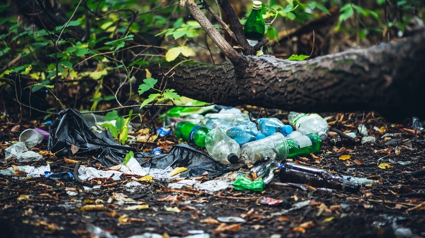 Pet Flaschen Wald Plastik