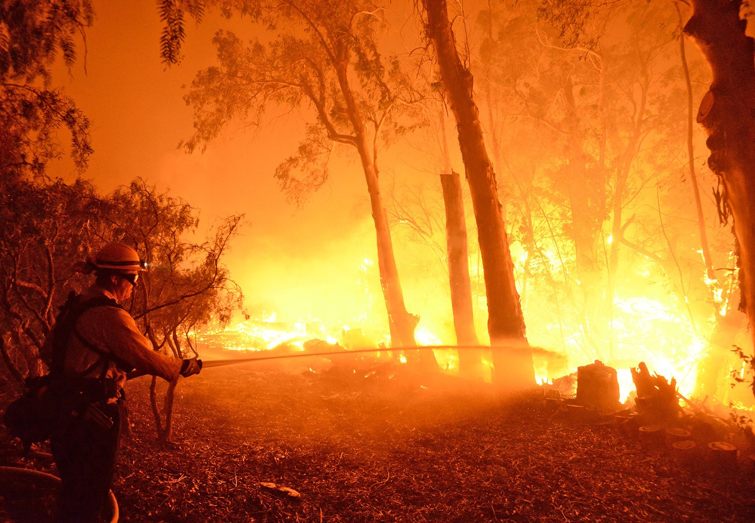 Feuer in Santa Barbara, Kalifornien, am 16. Juni.