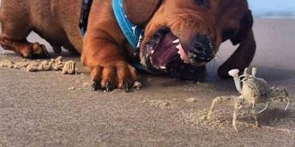 Du bist nur noch eine Cute News vom Weekend entfernt