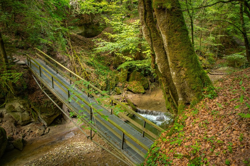 Rauszeit Schluchtenwanderung Galterntal