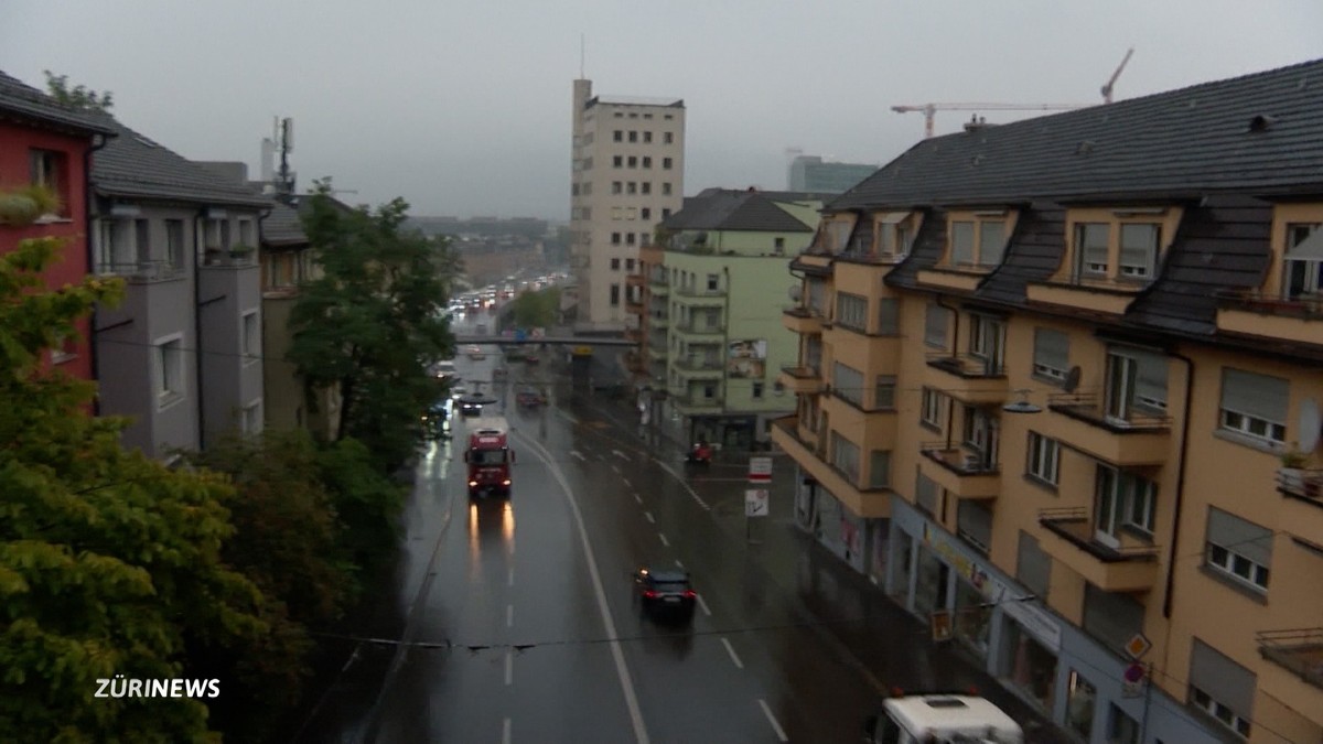 Der Verein West-TangentePlus wollte die Hardbrücke für 50 Stunden für den Verkehr sperren. Denn seit 50 Jahren wehren sich die Anwohner gegen die Strasse, die das Quartier spaltet. Die Kantonspolizei  ...