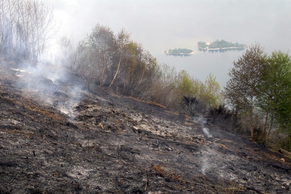 Das Feuer mottet noch auf einem voellig abgebrannten Waldstueck in Ronco/s Ascona ueber dem Lago Maggiore (mit den Brissago-Inseln), am Dienstag, 24. April 2007. Das Feuer, das bereits am Montag ausge ...