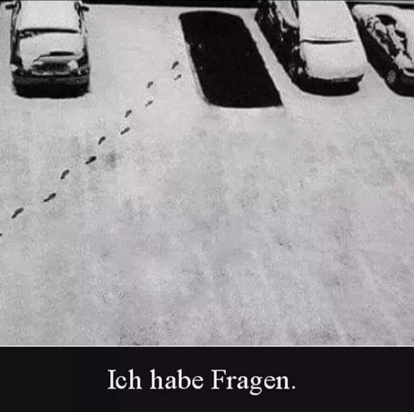 PICDUMP 400! 亞\nFliegender Teppich evtl.?