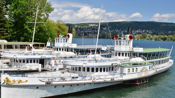 Erlitt einen technischen Defekt: Dampfer «Stadt Zürich» (Archivbild).&nbsp;