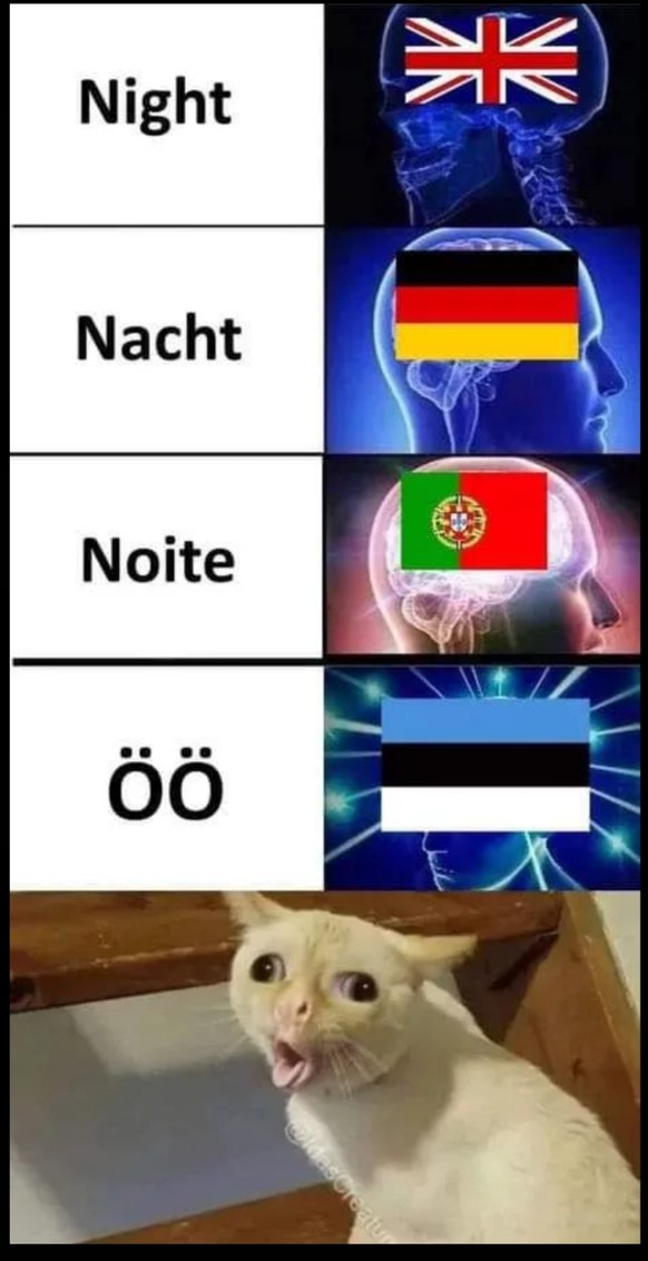 Zum Tag des Glücks brauchst du nur etwas. Genau. Mich. Picdump. Hoi. 🙃
Das lasse ich einfach mal hier.
Tschöö!
