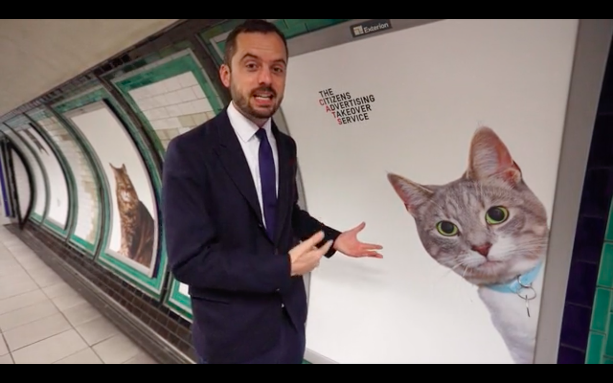 Katzen statt Werbung.