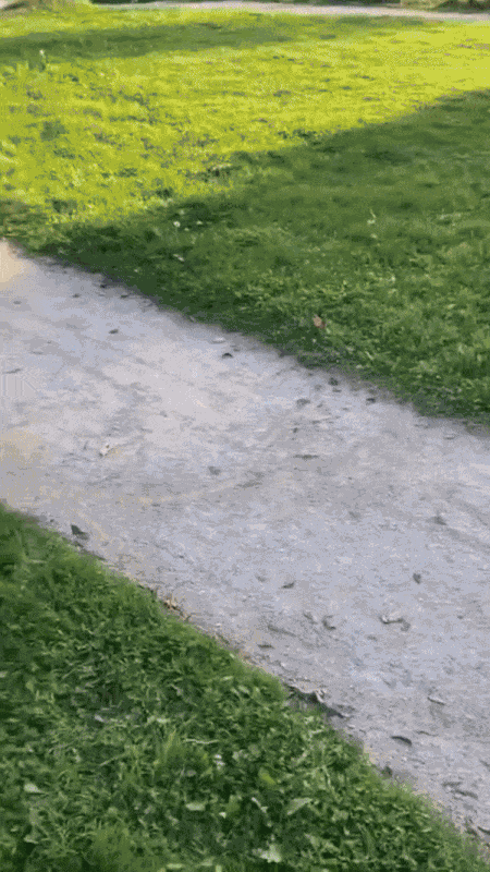 Animiertes GIF