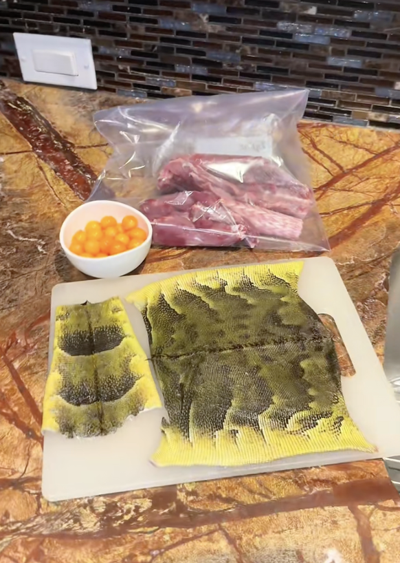 Mise-en-Place für Iguana-Tacos à la Florida Man. Screenshot aus einem Tiktok-Video. Februar 2026.