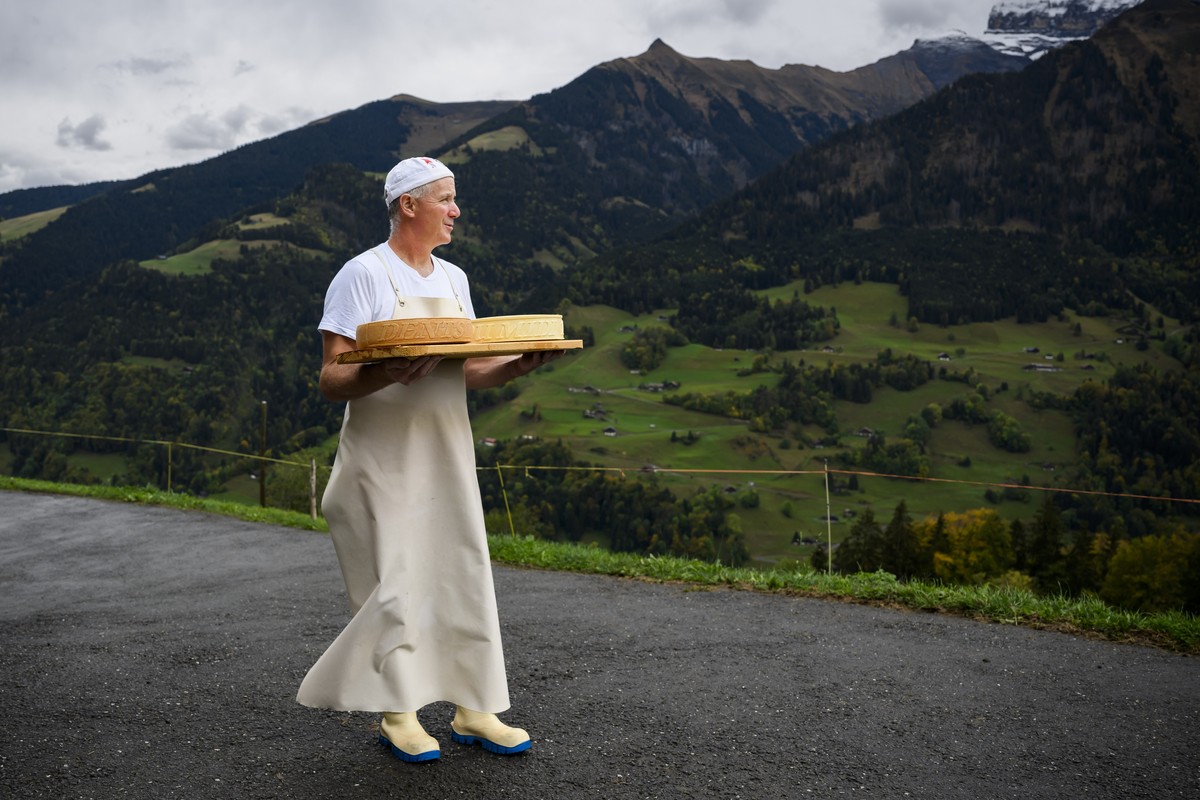 Il y aura aussi des meules fribourgeoises, vaudoises, neuchâteloises ou encore de Suisse alémanique.