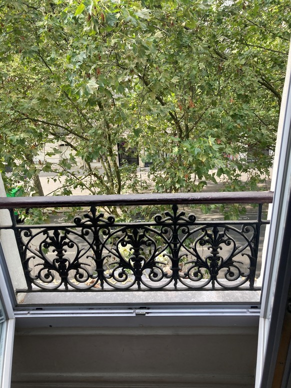 Die meisten Wohnungen in Paris haben keinen Balkon.