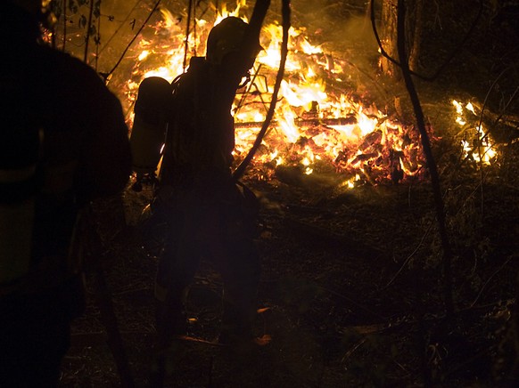 Die Feuerwehr war mit 45 Mann und 14 Fahrzeugen im Einsatz. (Symbolbild)