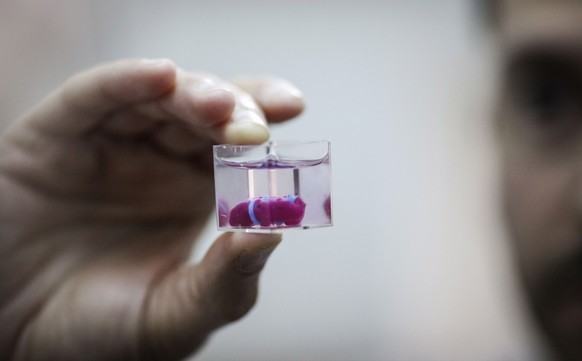 epa07508231 A 3D printer print of a heart with human tissue, being held at the University of Tel Aviv, 15 April 2019, Report state that Israeli scientists from Tel Aviv University say 3D printing of t ...
