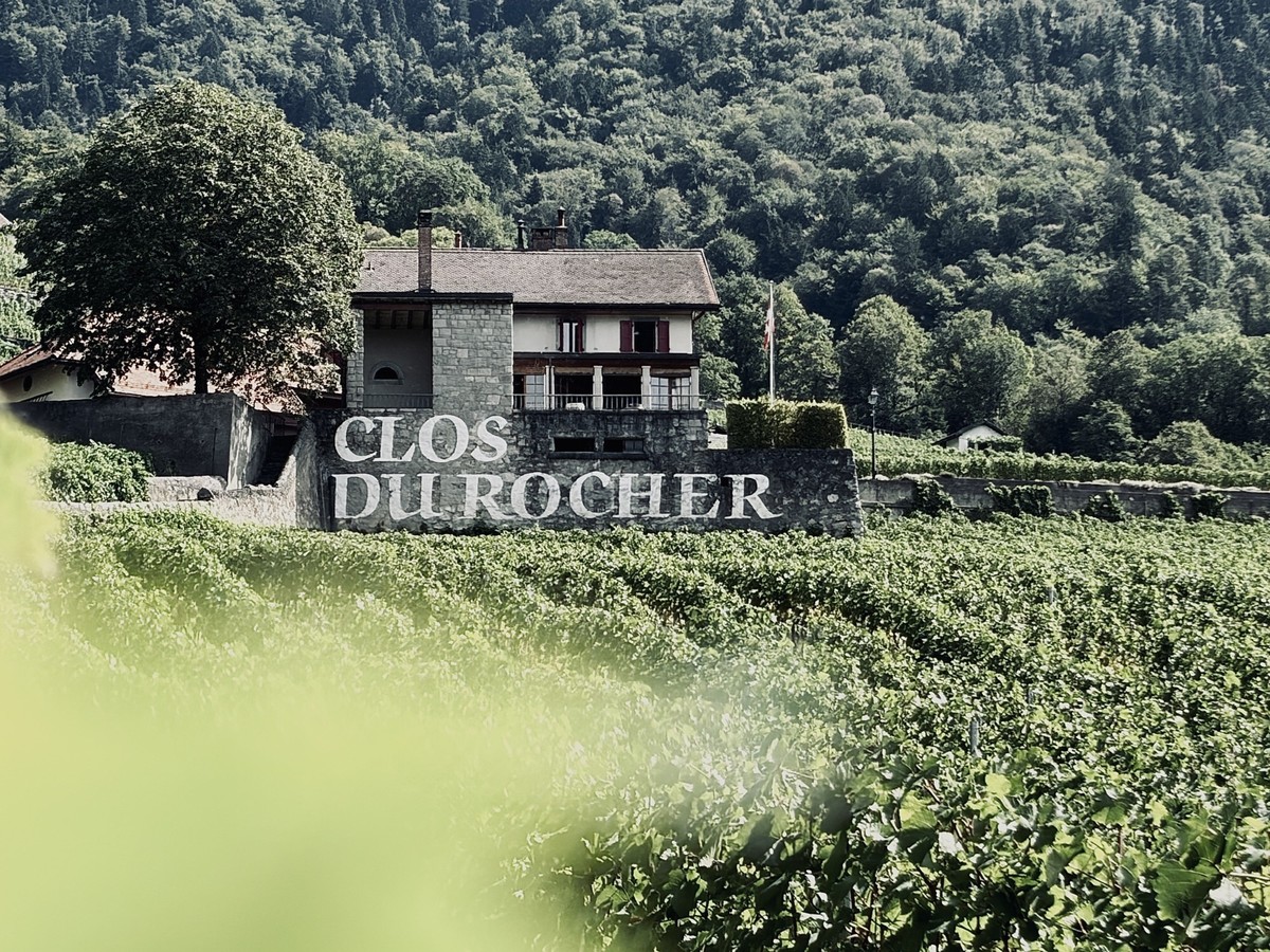 Le domaine viticole du Clos du Rocher, à Yvorne, dans le Chablais vaudois, a une histoire assez spectaculaire: son terroir est indirectement né d’une catastrophe.