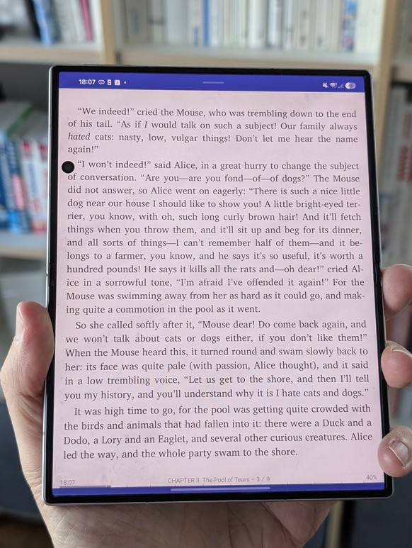 Kein Kindle, aber mit 201 Gramm ist das Mini-Tablet leicht genug, um Bücher zu lesen.