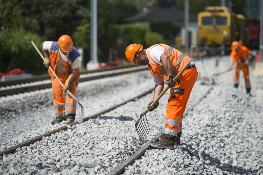 ZUR MEDIENKONFERENZ DER SBB UEBER DIE LEISTUNGSVEREINBARUNG 2017-2020, STELLEN WIR IHNEN AM DIENSTAG 9. AUGUST 2016 FOLGENDES THEMENBILD ZUR VERFUEGUNG. - Des ouvriers travaillent a la refection des v ...