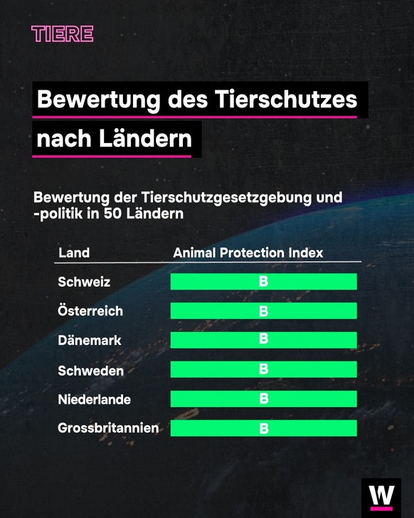 <p>Kein Land erreichte die Bewertung A.</p>