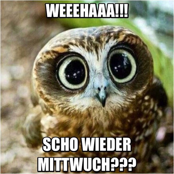 Juhu, der Picdump ist da. Heute ausnahmsweise mal lustig
Picduuuuump!!! ЁЯШ│ЁЯШНЁЯША