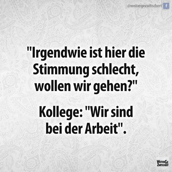 Picdump 49 – Was könnte besser sein als jede Menge Memes? Nichts!\nHoppala!