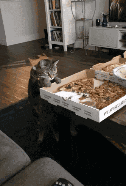 Animiertes GIF