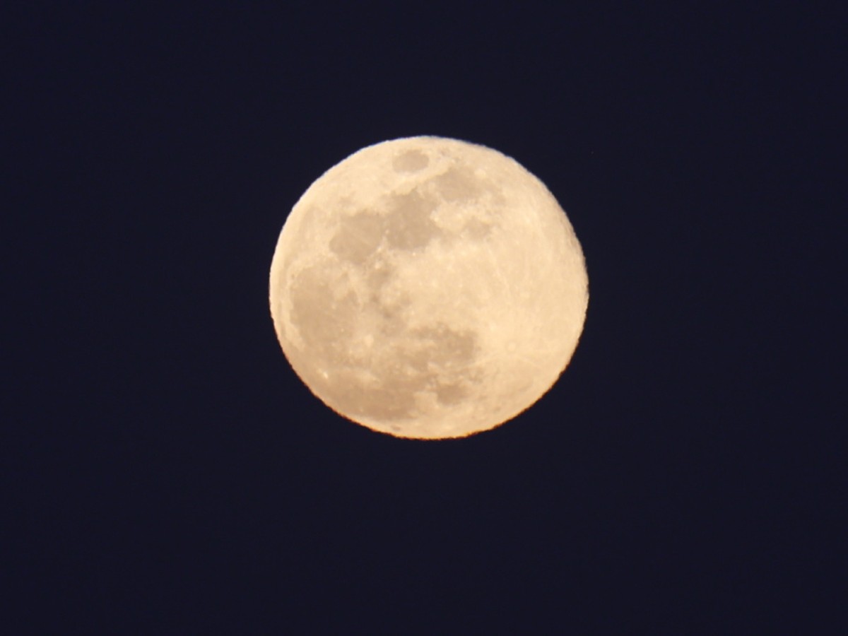L'engin spatial Blue Ghost de Firefly Aerospace doit se poser sur la Lune pour y mener des exp�rimentations pendant 14 jours (archives).