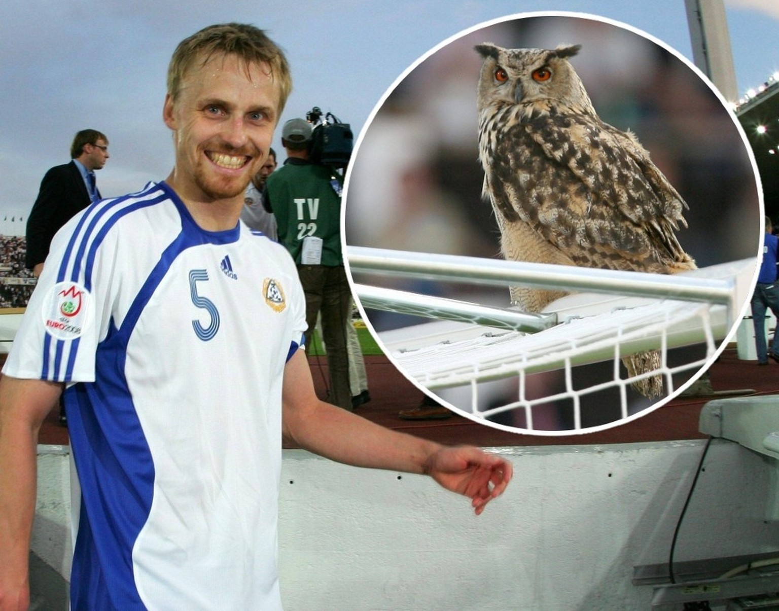 Der Uhu, der Finnlands Fussball-Nati den Spitznamen «Huuhkajat» gibt