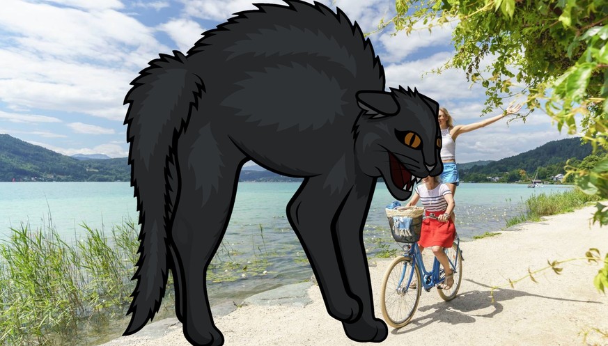 Hacker legen ganzes Bundesland lahm – und es droht ein Daten-GAU