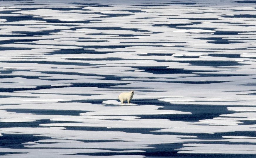 FILE - A polar bear stands on the ice in the Franklin Strait in the Canadian Arctic Archipelago, July 22, 2017. The Biden administration said Friday, Aug. 26, 2022, that it will upgrade its engagement ...