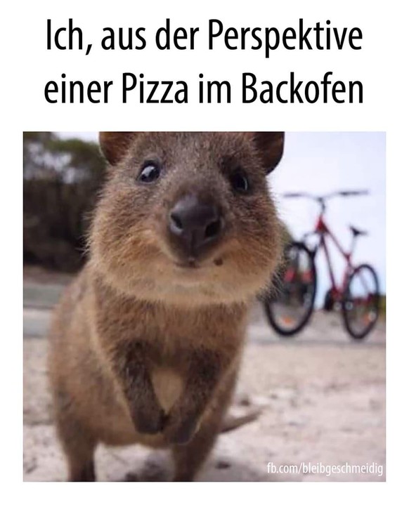 PICDUMP 404 – Harold not found\n:)