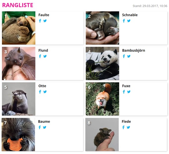 Rangliste watson-Tiere Cute News