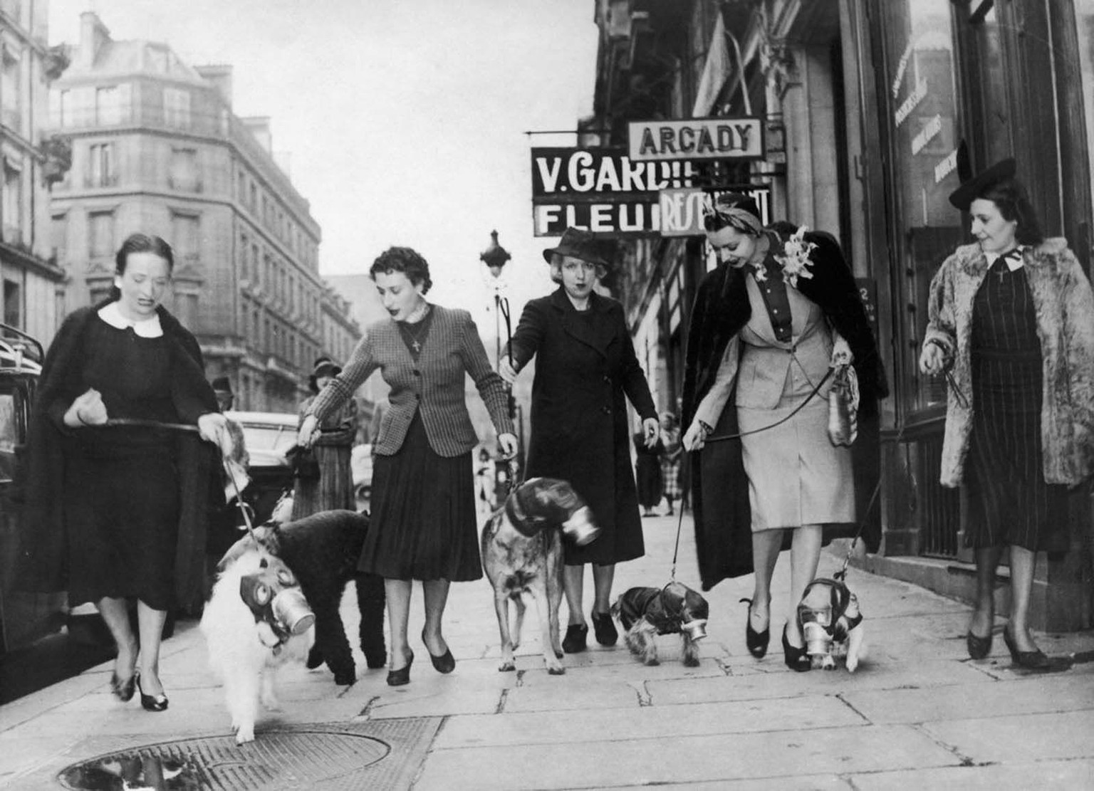 A group of Parisian women walk their gas mask-equipped dogs, 1939 [1600x1157]
