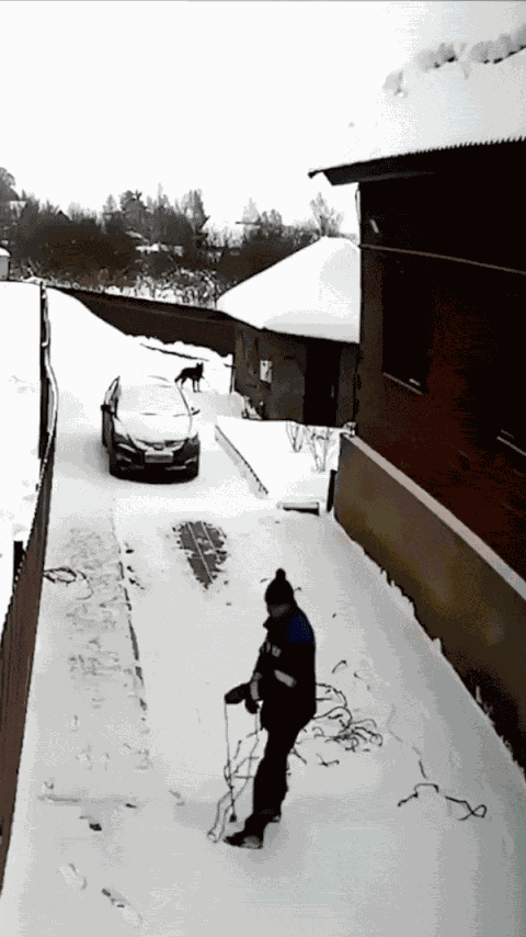 Animiertes GIF