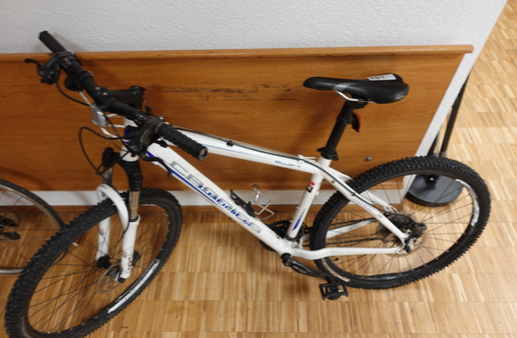 Mountainbike Chronics