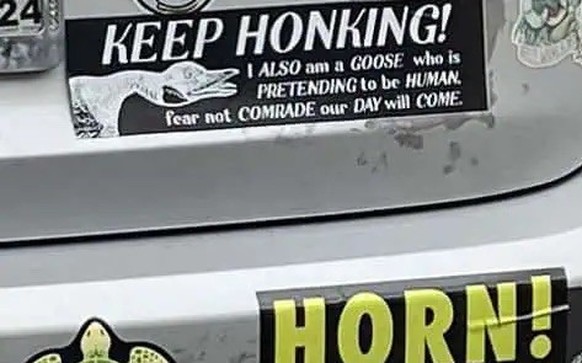 Okay bei diesen Autoaufklebern mussten wir lachen. 
https://pleated-jeans.com/2024/09/18/hilarious-bumper-stickers/