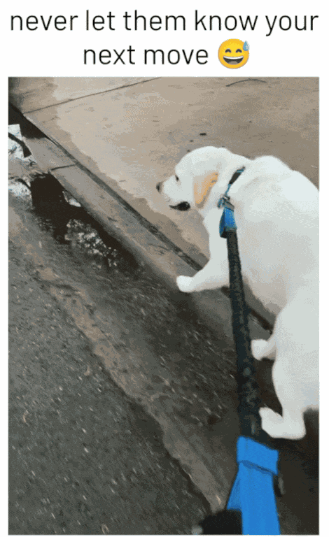 Animiertes GIF