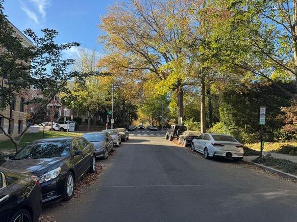 Indian Summer im November in Washington, D.C.