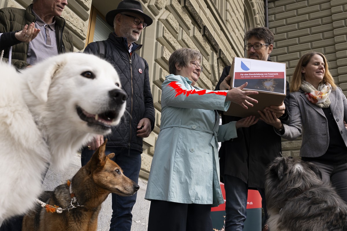 Les initiant ont déposé les signatures ce vendredi. Un de leurs arguments est de dire que les feux d'artifice bruyants effraient les animaux.