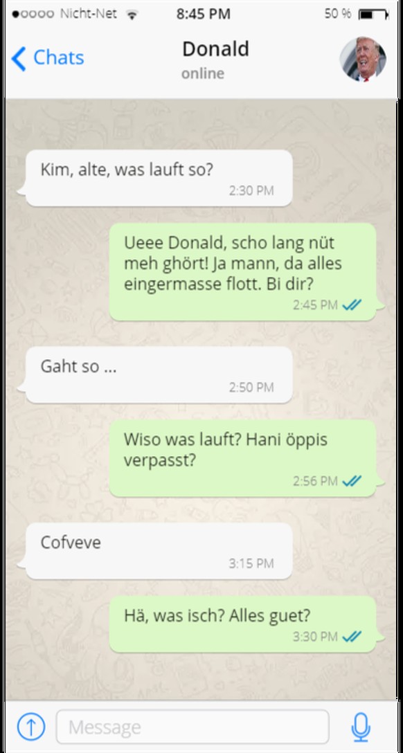 Fake whatsapp