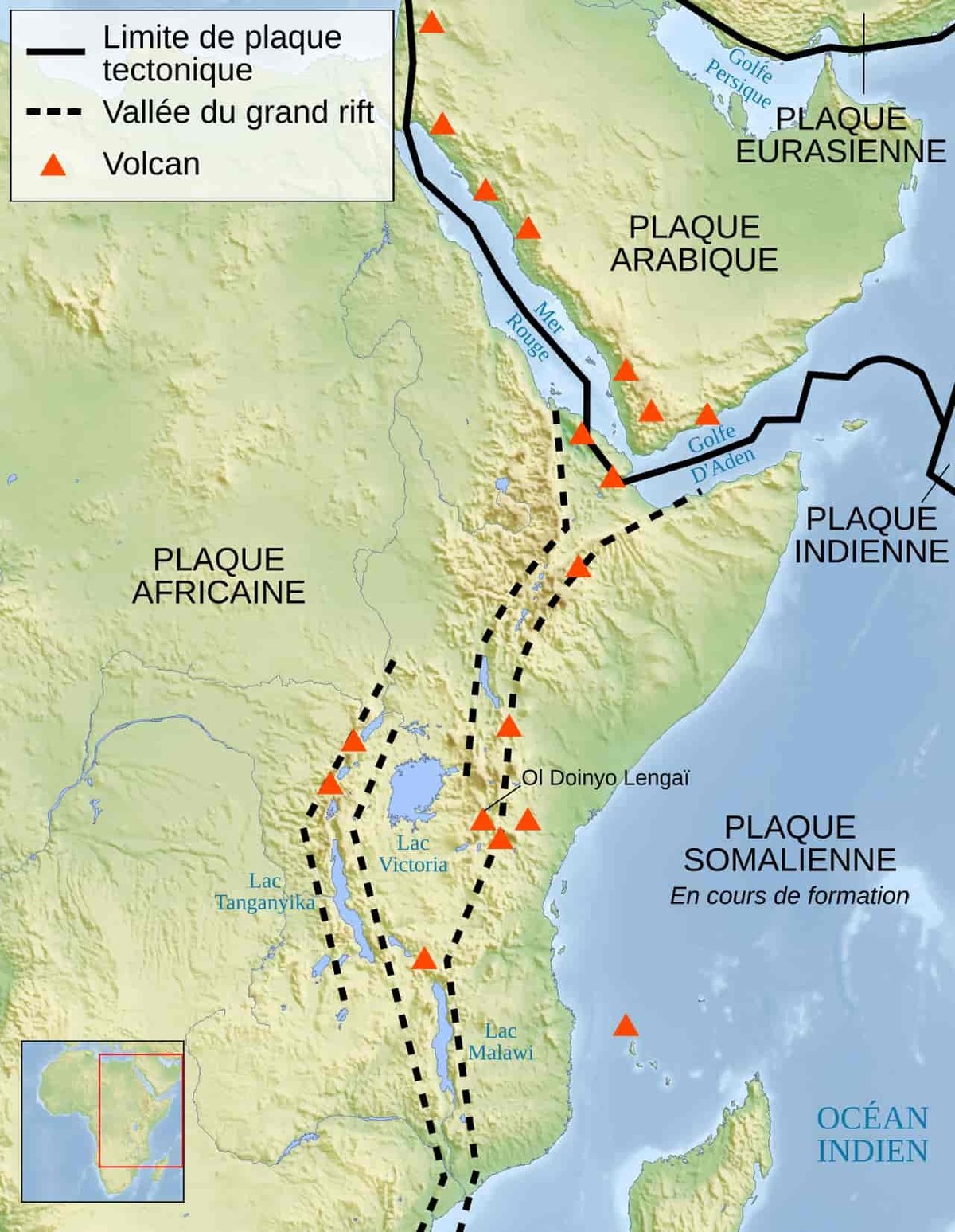 Carte structurale simplifiée de l'Afrique de l'Est montrant les principaux volcans actifs, la dépression de l'Afar et la jonction triple entre la plaque arabique, la plaque africaine et ...