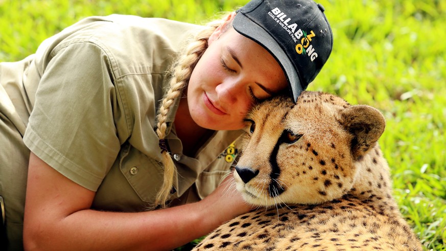 epaselect epa08337937 Keeper Brooke Rayner pats a cheetah at the family-owned Billabong Zoo, which was forced to close to the public due to coronavirus, in Port Macquarie, New South Wales, Australia, ...