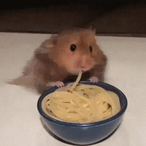 Animiertes GIF