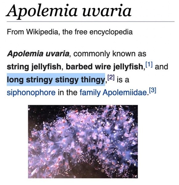 depths of wikipedia https://www.instagram.com/depthsofwikipedia/