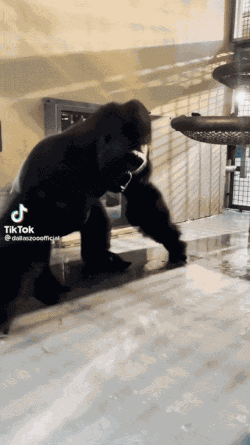 Animiertes GIF
