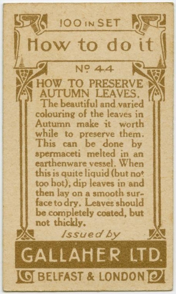 Gallaher-Lifehacks: Wie man Herbstblätter konserviert
https://digitalcollections.nypl.org/items/510d47e4-7a70-a3d9-e040-e00a18064a99
