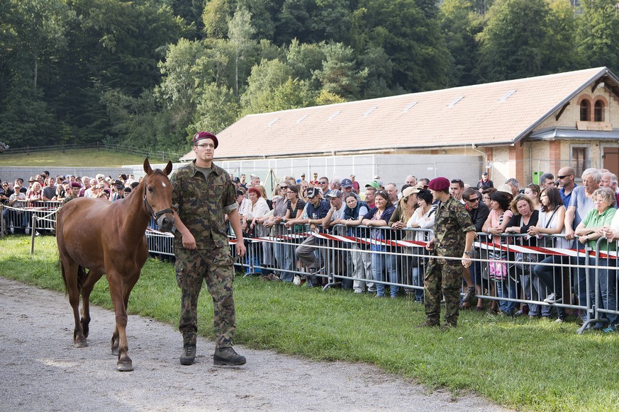 Interessierte Kaeufer ersteigern Pferde des mutmasslichen Tierquaelers Ulrich K. aus Hefenhofen (TG) am Pferdeverkauf des Veterinaeramtes des Kantons Thurgau, am Donnerstag, 17. August 2017, in Sand-S ...