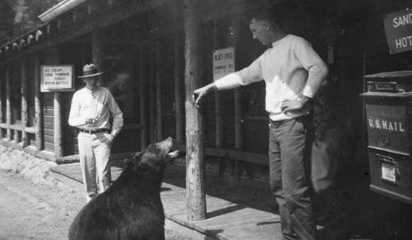 «Mein Grossvater, wie er seinen grossen, lustig aussehenden Hund füttert. Ca. 1940.»