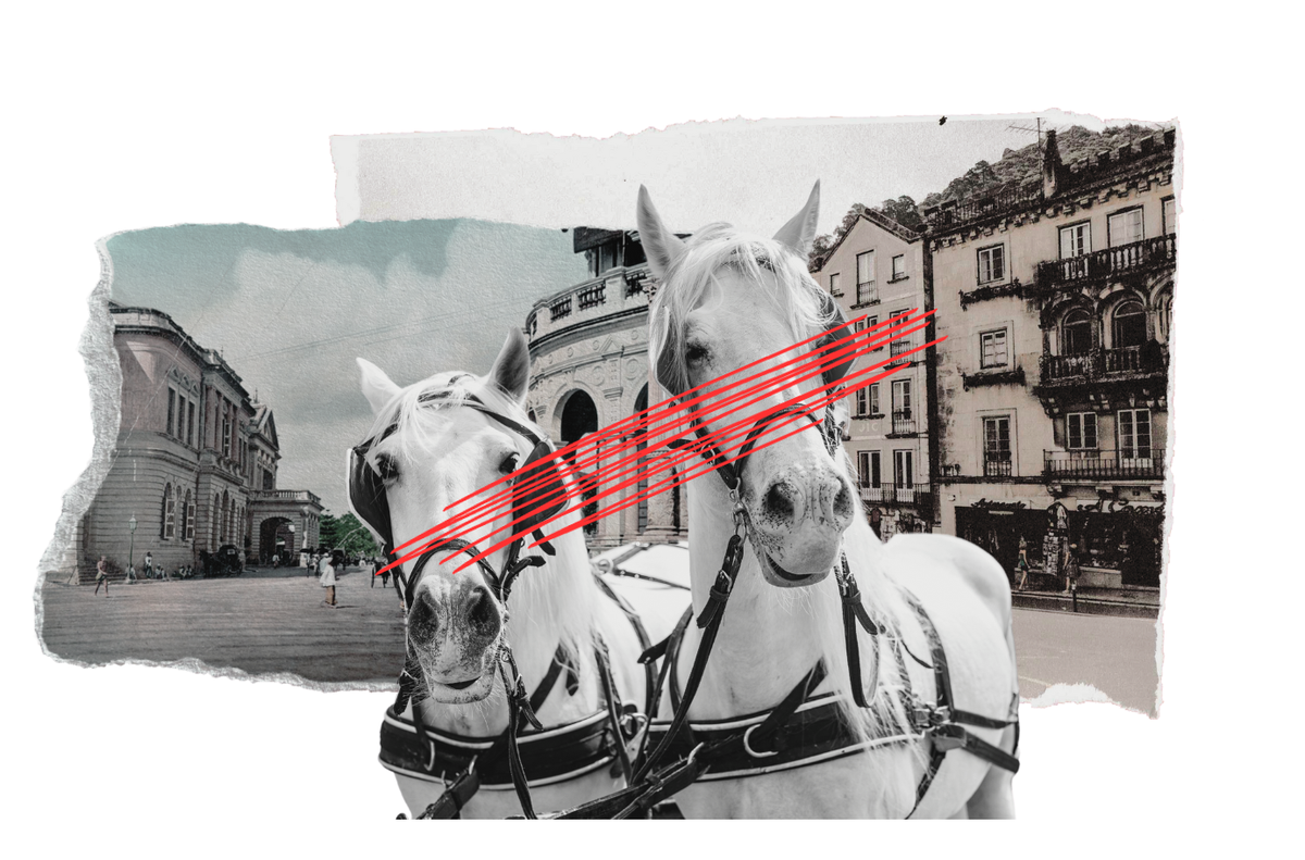 Des calèches à Genève: les chevaux n'ont rien à faire en ville