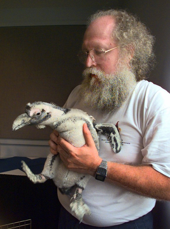 Jon &quot;Maddog&quot; Hall, Executive Director of Linux International, plays with a live penguin during LinuxWorld Conference and Expo in San Jose, California, Tuesday, August 10, 1999. He is one of  ...