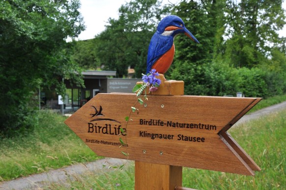 Im BirdLife-Naturzentrum Klingnauer Stausee erwarten Sie eine interaktive Ausstellung und ein Erlebnispfad mit Beobachtungshütte. Hier begegnen Sie Libellen, Fröschen und Schmetterlingen und mit etwas ...